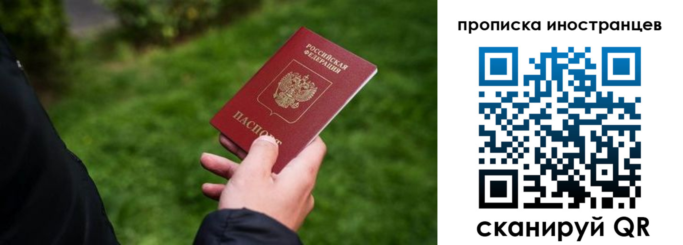 прописка гарантия в Тольятти